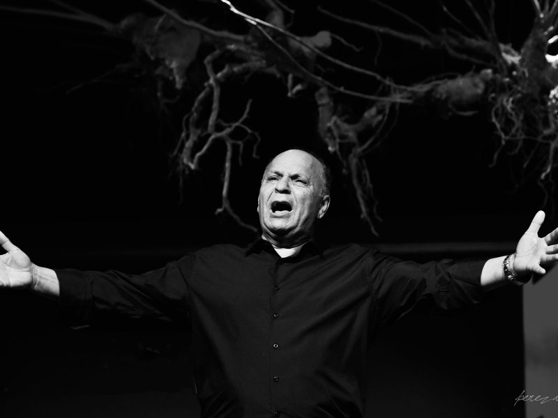 El Pele: «Ya era hora de que hubiera un festival dedicado a los guiris flamencos»